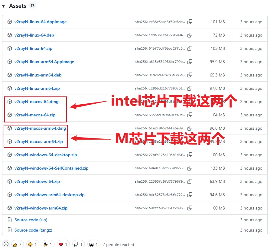 下载V2rayN.webp 下载V2rayN.webp